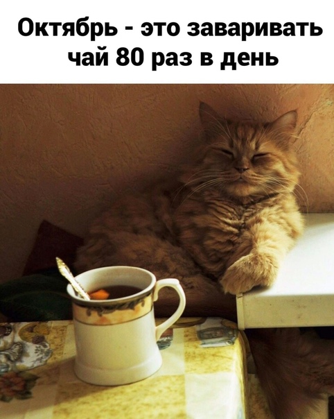 Прикол