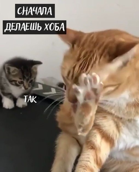 Прикол