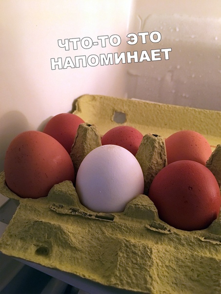 Прикол