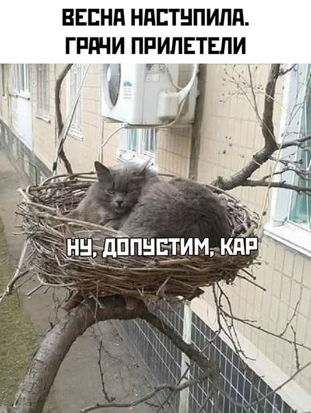 Прикол