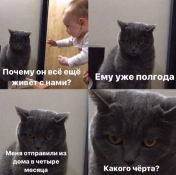 Прикол