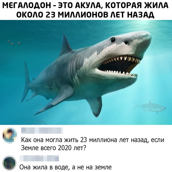 Прикол