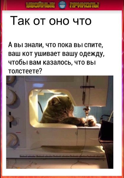 Прикол