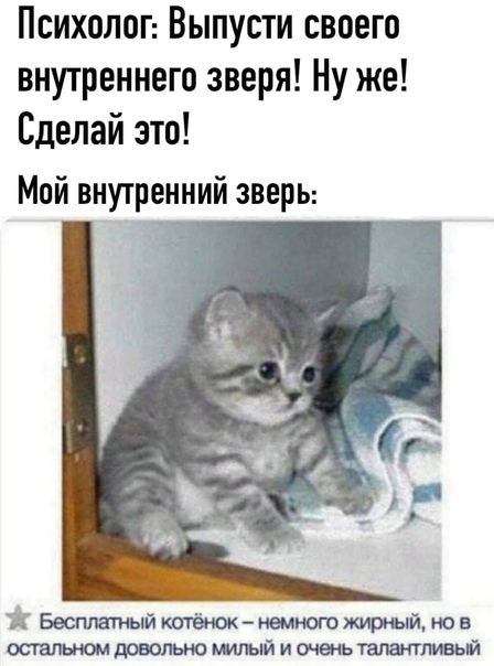 Прикол