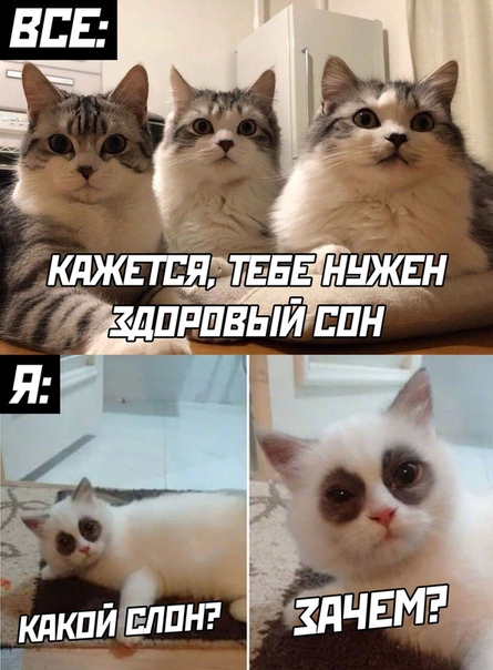 Прикол