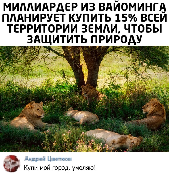 Прикол