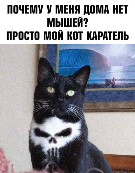 Прикол