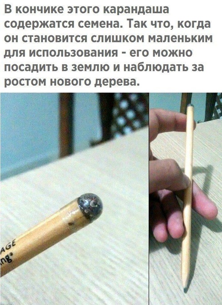 Прикол