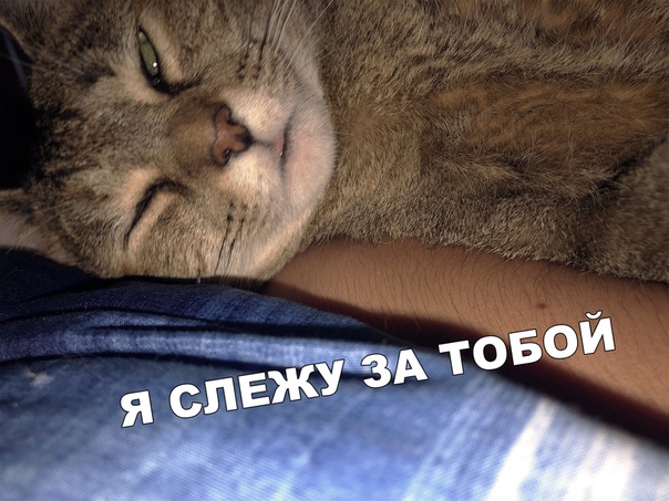 Прикол