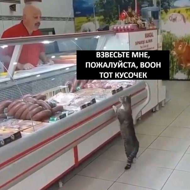 Прикол