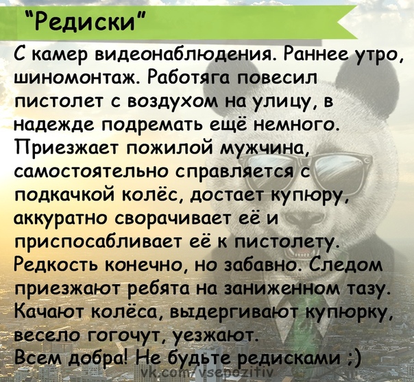 Прикол