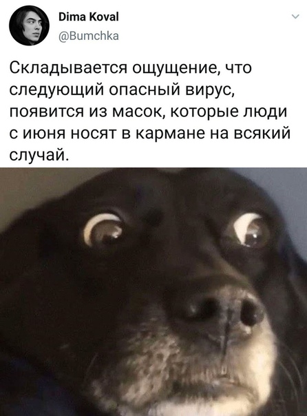 Прикол