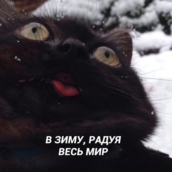 Прикол
