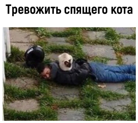 Прикол