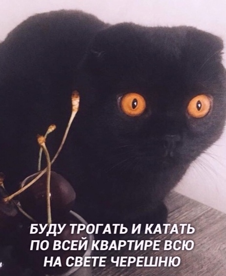 Прикол