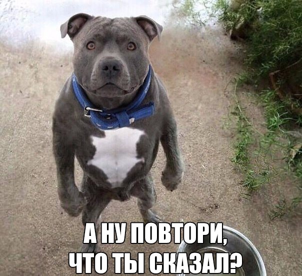 Прикол