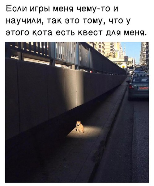 Прикол