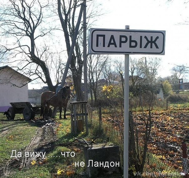 Прикол