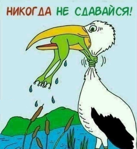 Прикол