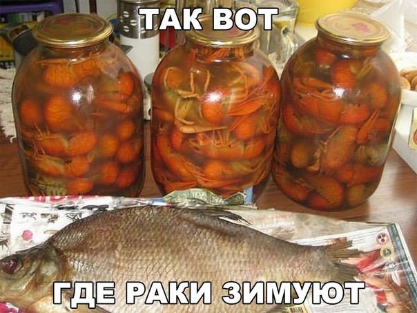 Прикол