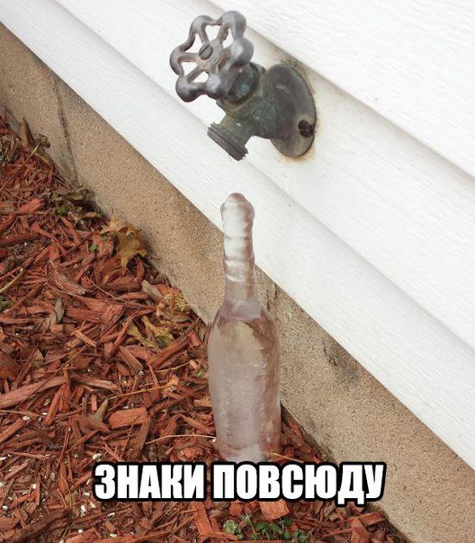 Прикол