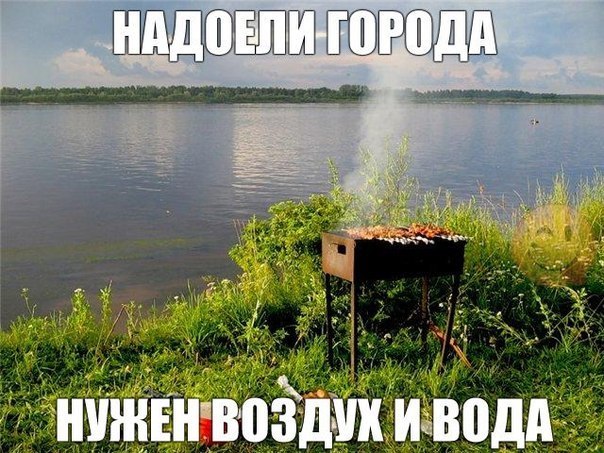 Прикол