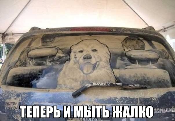 Прикол