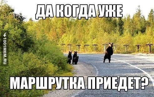 Прикол