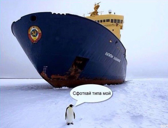 Прикол