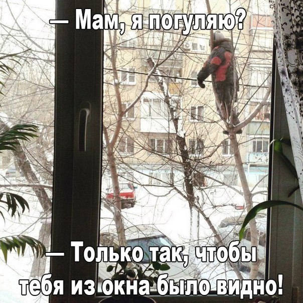 Прикол