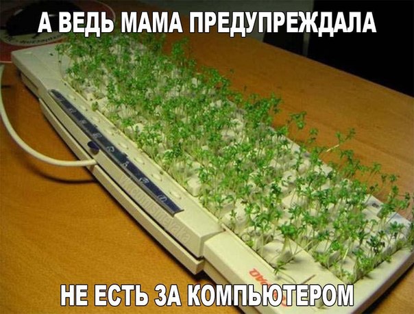 Прикол