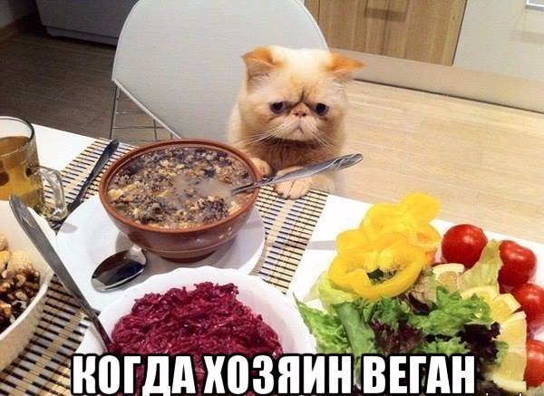 Прикол