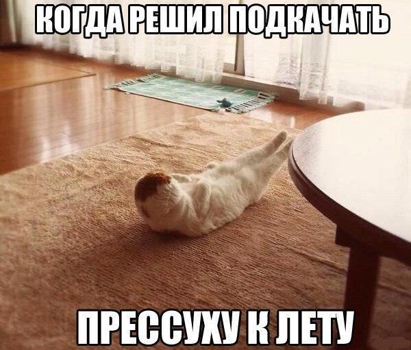 Прикол