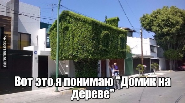 Прикол