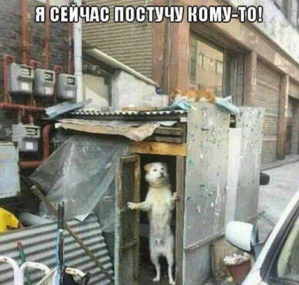 Прикол