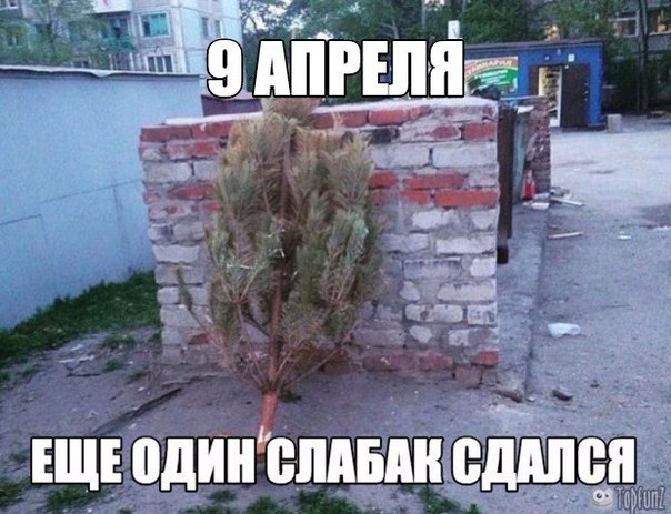 Прикол