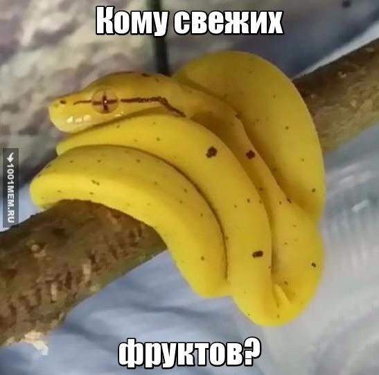 Прикол