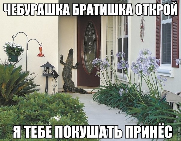 Прикол