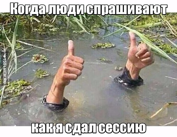 Прикол