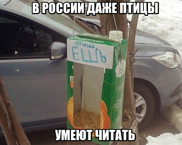 Прикол