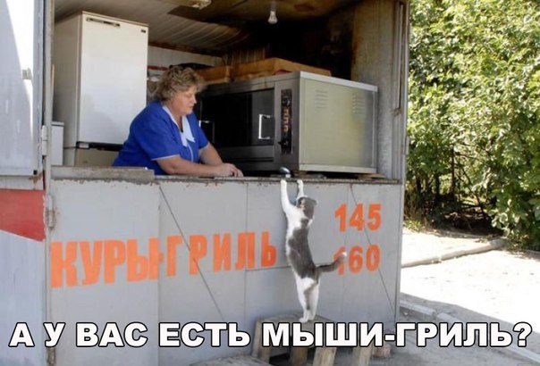 Прикол