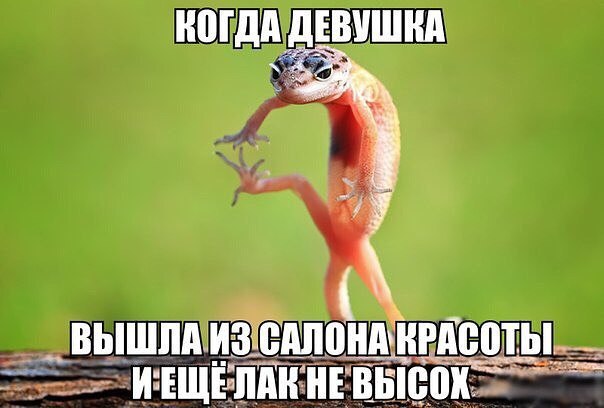 Прикол