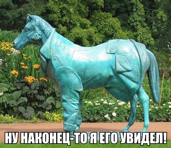 Прикол