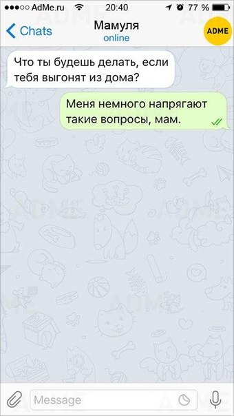 Прикол