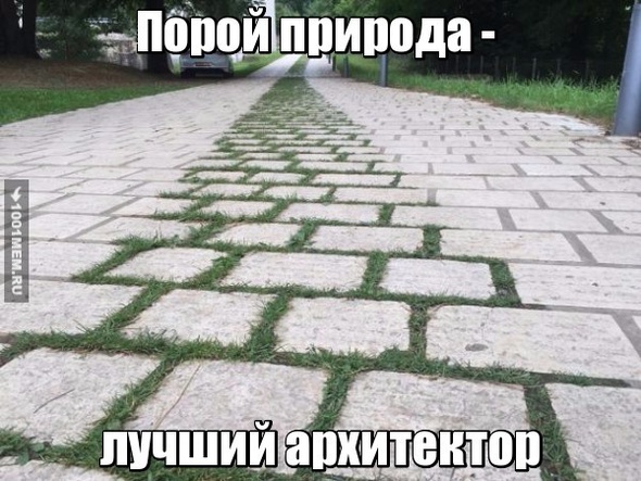 Прикол