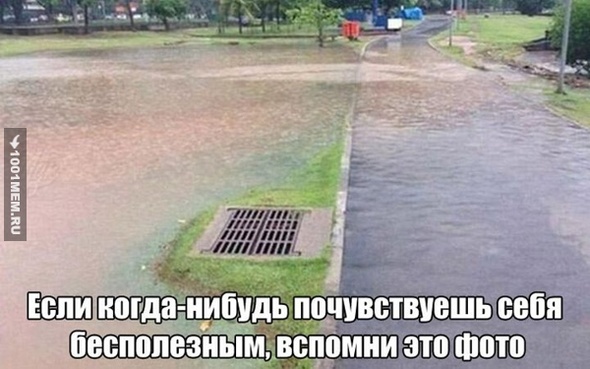 Прикол