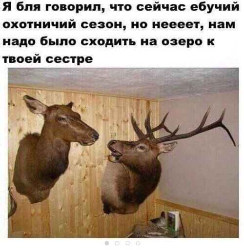 Прикол