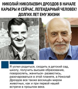 Николай дроздов биография причина смерти личная жизнь Где живет дроздов AnikStroy.ru